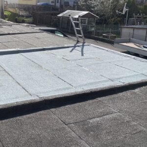 Professionelle und fachgerechte Flachdachgaragen-Sanierung von Eckart